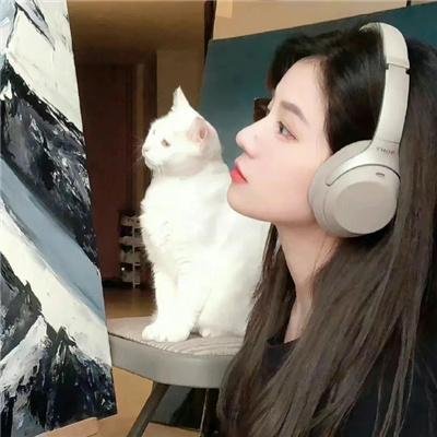 宝贝当家
